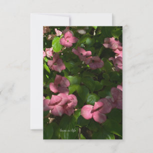 Tarjeta Pequeña Dogwood Pink