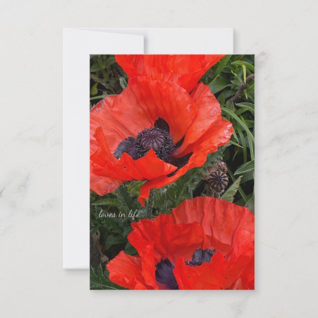 Tarjeta Pequeña Dos lapachos orientales Naranjas (Anverso)