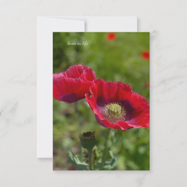 Tarjeta Pequeña Dos Papeles Opio Bonito (Anverso)