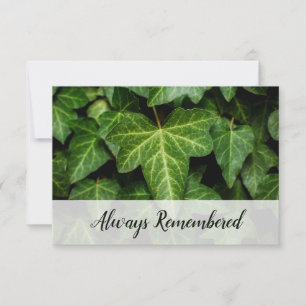 Tarjeta Pequeña Edición de Florismo 🌿 Foto de Ivy 'Siempre Record