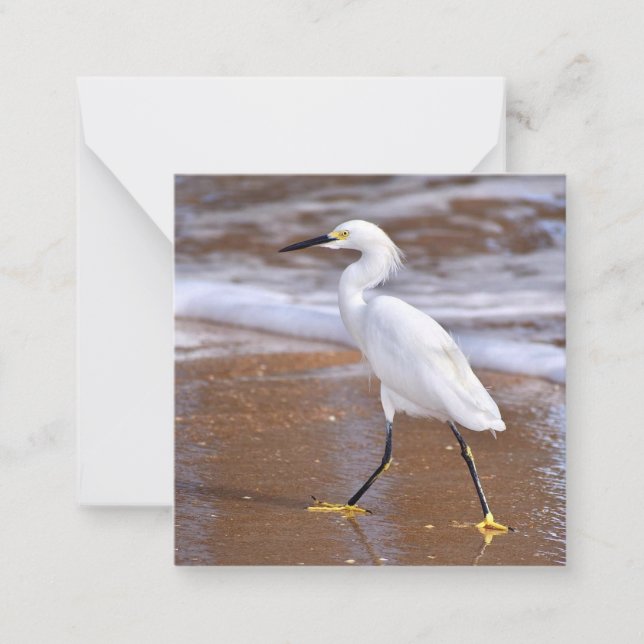 Tarjeta Pequeña Egret en el Beach mini-notecard set (Anverso)