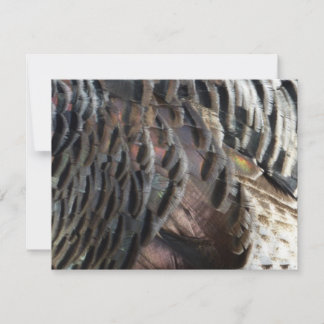 Tarjeta Pequeña El diseño de la naturaleza abstracta de las plumas