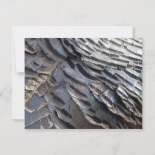 Tarjeta Pequeña El diseño de la naturaleza abstracta de los plumas