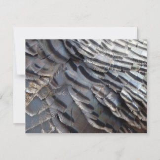 Tarjeta Pequeña El diseño de la naturaleza abstracta de los plumas