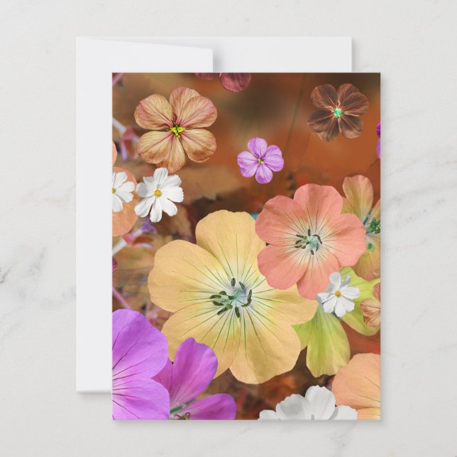 Tarjeta Pequeña El hada saldrá pronto 1 (Anverso)