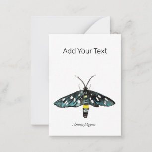 Tarjeta Pequeña El Ilustracion de Moth Amata phegea de nueve punto