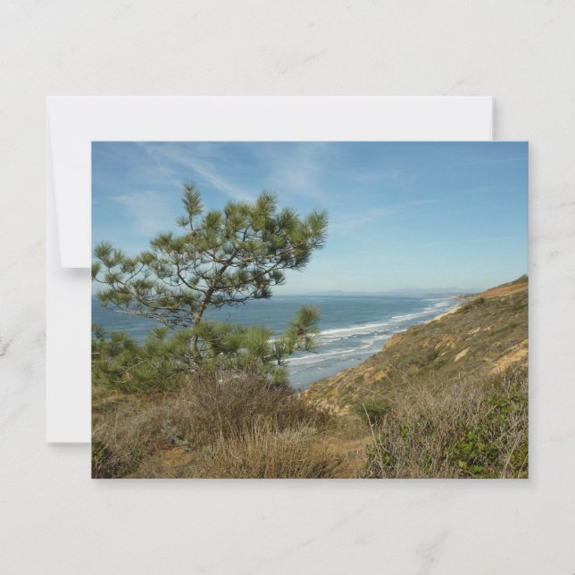 Tarjeta Pequeña El paisaje costero de Torrey Pine y California (Anverso)