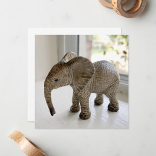 Tarjeta Pequeña Elefantes para bebés huérfanos Notecards