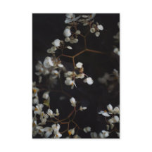Elegante foto floral y nombre personalizado