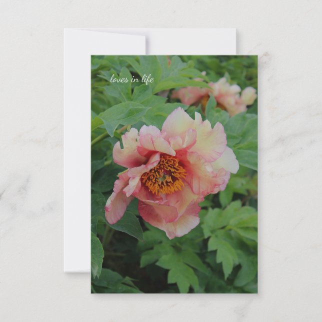 Tarjeta Pequeña Elegante Peony de tono rosado (Anverso)