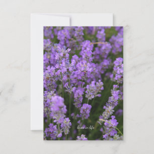 Tarjeta Pequeña Encantadora Lavanda Ligera