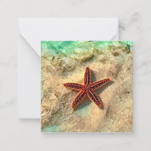 Tarjeta Pequeña Equipo de protección de minitecas Starfish