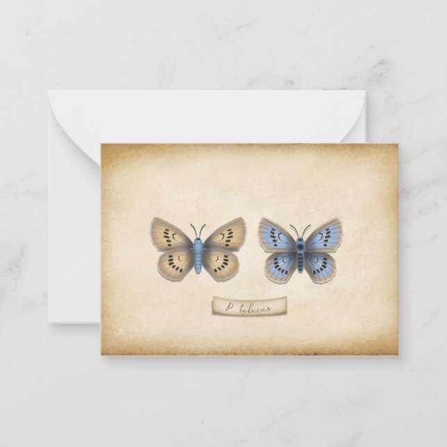 Tarjeta Pequeña Escasez de Personalizable de especies de mariposa  (Anverso)