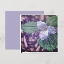 Tarjeta Pequeña Estilo Sprint Trillium Autochrome