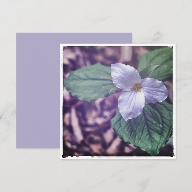 Tarjeta Pequeña Estilo Sprint Trillium Autochrome (Anverso / Reverso)