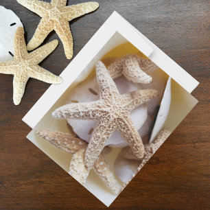 Tarjeta Pequeña Estrellas de mar y dólares de arena Fotografías de