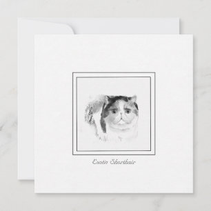Tarjeta Pequeña Exótico bosquejo de gatos de Shorthair en Chalk y