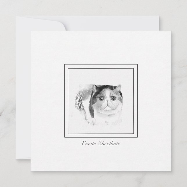 Tarjeta Pequeña Exótico bosquejo de gatos de Shorthair en Chalk y  (Anverso)