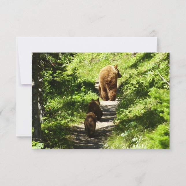 Tarjeta Pequeña Familia de oso marrón (Anverso)