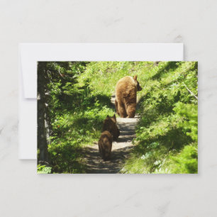Tarjeta Pequeña Familia de oso marrón