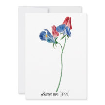 Fecha de nacimiento Flor Dulce guisante (abril)