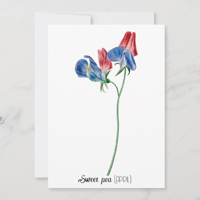 Tarjeta Pequeña Fecha de nacimiento Flor Dulce guisante (abril) (Anverso)