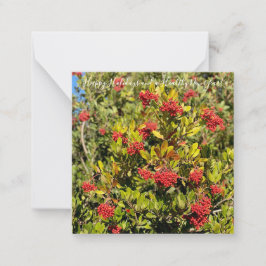 Tarjeta Pequeña ¡Felices Fiestas de California!