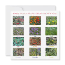 ¡FELICES FIESTAS Y UN AÑO NUEVO SALUDABLE!