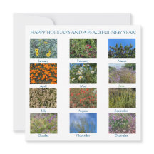 ¡Felices fiestas y un pacífico Año Nuevo!