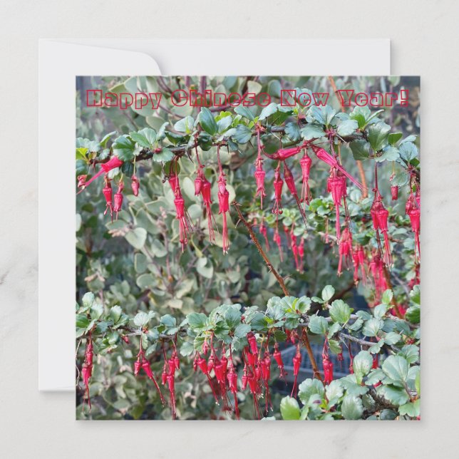 Tarjeta Pequeña ¡Feliz Año Nuevo Chino! (Anverso)