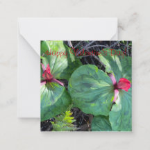 ¡Feliz Día de San Valentín!