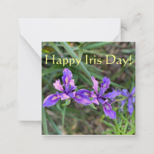 Tarjeta Pequeña ¡Feliz Día del Iris!