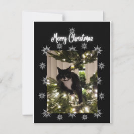 Tarjeta Pequeña Feliz Navidad, tuxie cat en el árbol de Navidad.