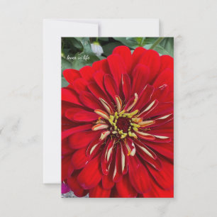 Tarjeta Pequeña Feliz Pequeño Zinnia