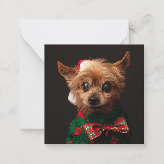 Tarjeta Pequeña Feliz personalizado de Navidad mascota foto simple (Anverso)