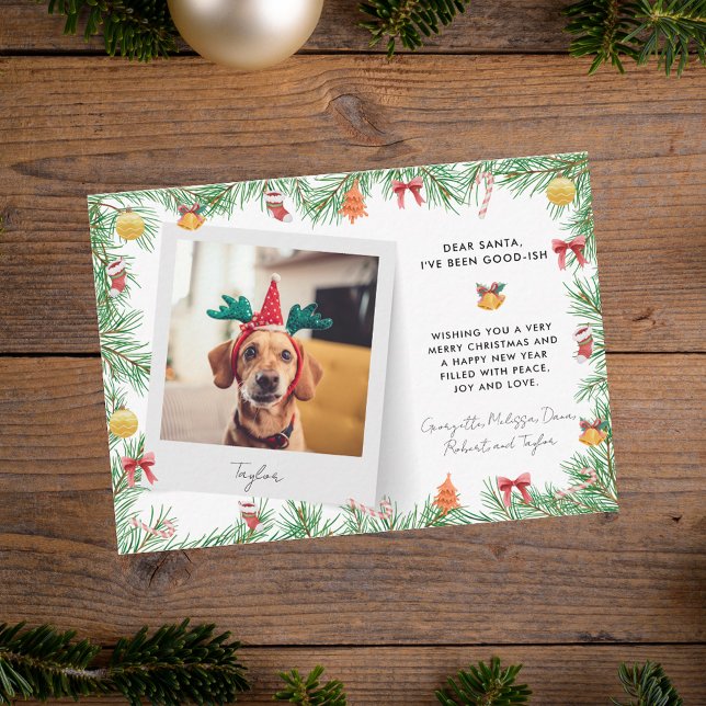 Tarjeta Pequeña Festividad Mascota Festividad Navidades de perro f (Funny Festive Pet Photo Dog Christmas Holiday Note Card)