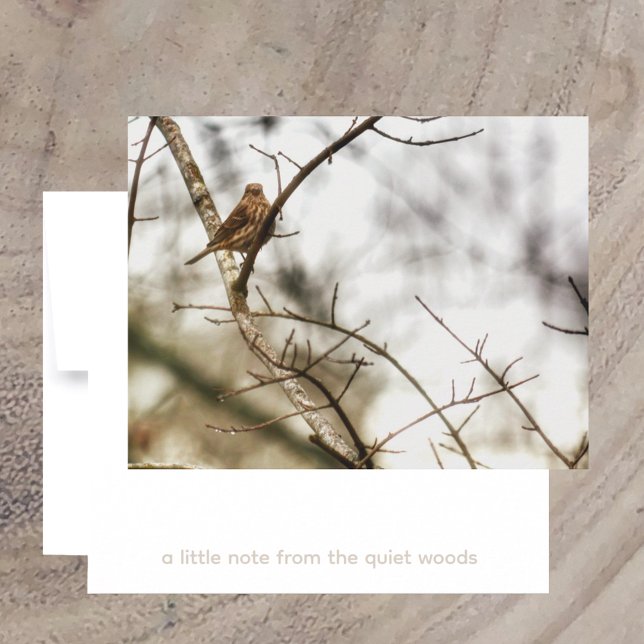 Tarjeta Pequeña Finch in Winter Branches Nature Photography (Subido por el creador)