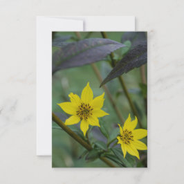 Tarjeta Pequeña Flor amarilla de otoño