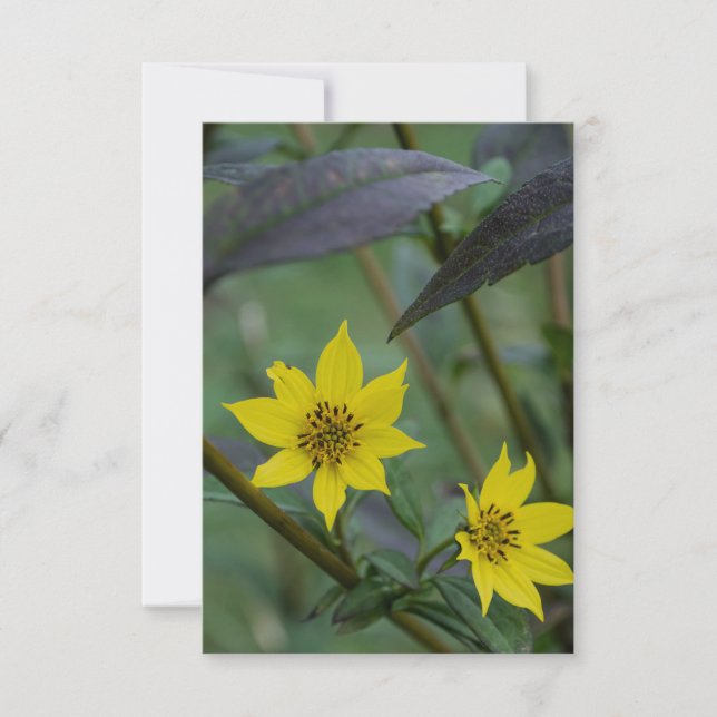 Tarjeta Pequeña Flor amarilla de otoño (Anverso)