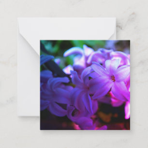 Tarjeta Pequeña Flor de Hyacinth Rosa Pastel (Hyacinthus)