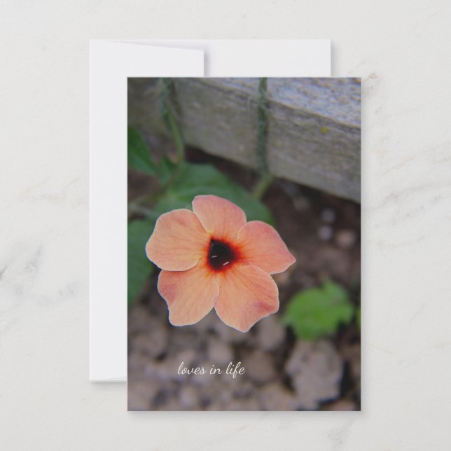 Tarjeta Pequeña Flor de jardín de bonito (Anverso)
