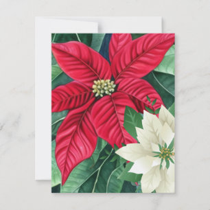 Tarjeta Pequeña Flor de Nochebuena