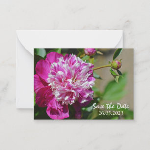 Tarjeta Pequeña Flor de peones rosados de algodón salva la fecha