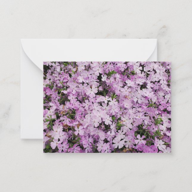 Tarjeta Pequeña Flor de Phlox (Anverso)