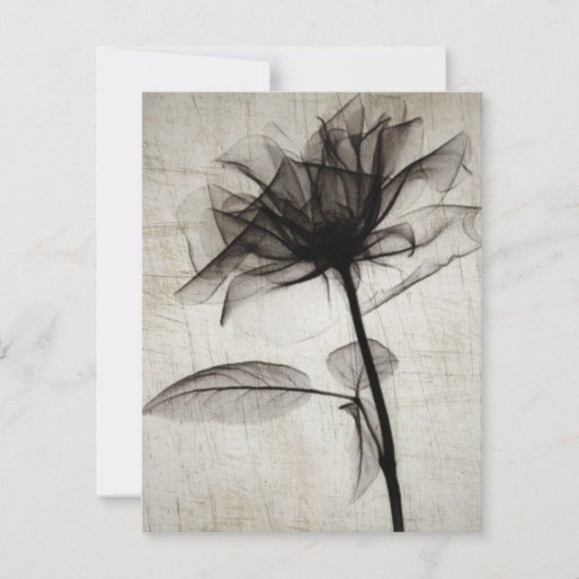 Tarjeta Pequeña Flor de rayos X de gran cosecha (Anverso)