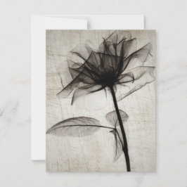 Tarjeta Pequeña Flor de rayos X de gran cosecha