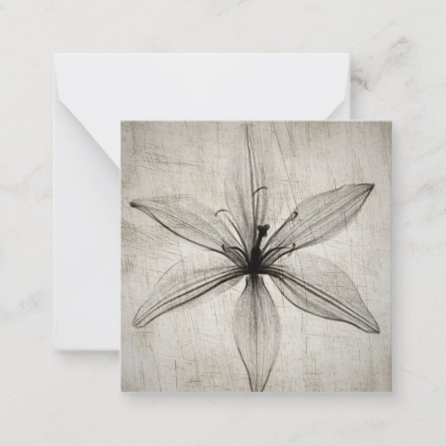 Tarjeta Pequeña Flor de rayos X de una sola época (Anverso)