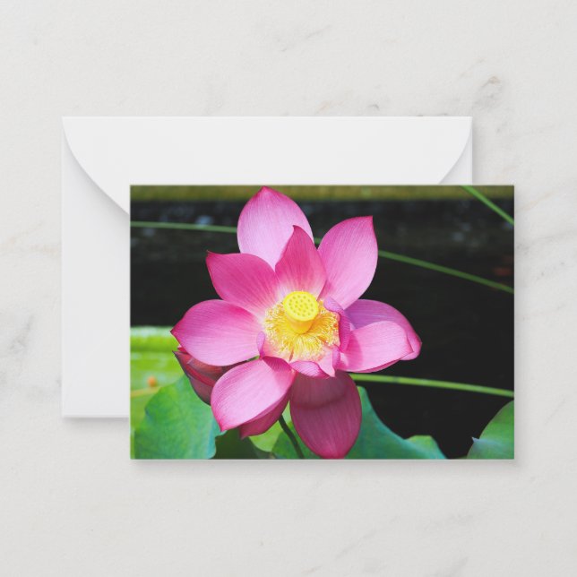 Tarjeta Pequeña Flor Lotus rosa caliente (Anverso)