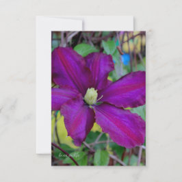 Tarjeta Pequeña Flor morada de clematis
