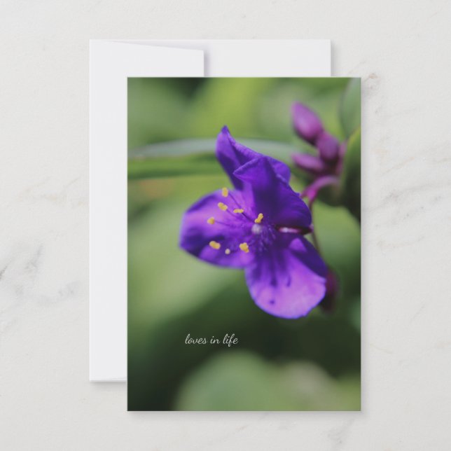 Tarjeta Pequeña Flor morada pequeña arriba (Anverso)